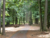 Kootenai Falls picnic area