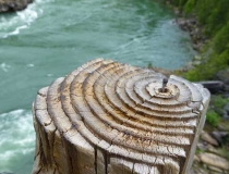 View from the Kootenai Falls Swinging Bridge