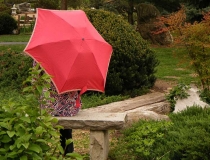 umbrellaandgarden