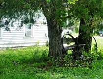 Rabbit and wagon wheel hoops, Taylor, NE