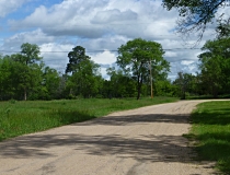 A lane in Taylor, NE