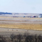 Deer running across South Dakota fields