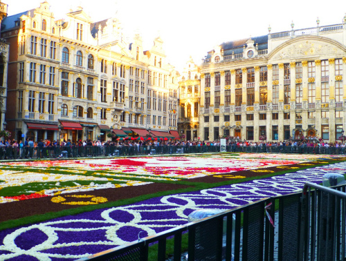 Brussels Flower Carpet 2016
